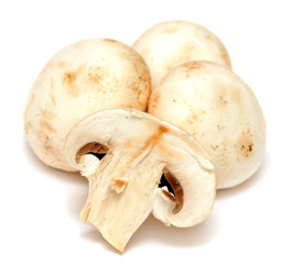 Champignon mushroom