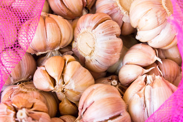 close up fresh garlic mesh bag