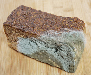 Wholemeal bread moldy