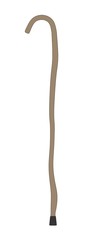 cartoon image of walking stick