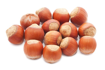 Hazelnuts or filbert