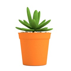 realistic 3d render of succulent