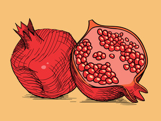 hand drawing pomegranate