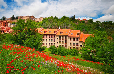 Houses with flowers