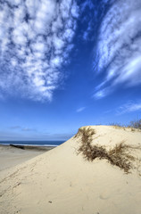 Dune Landscape