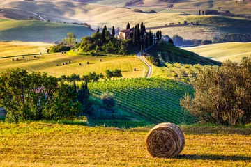 Abwaschbare Fototapete Toskana, Landschaft © ronnybas