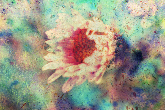 grunge artwork with small pink flower