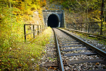 Naklejka premium Stary ceglany tunel w górach jesienią