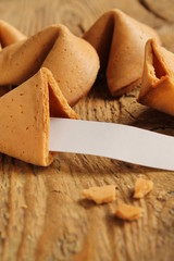 fortune cookie