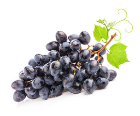 Ripe dark grapes with leaves, on white background