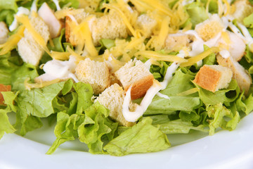 Caesar salad on white plate, close up