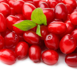 Fresh cornel berries isolated on white