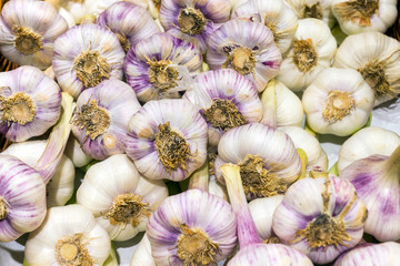 Garlic on a market