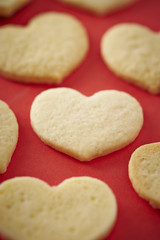 Valentinea's day