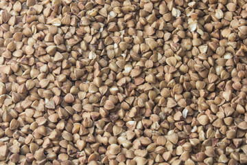 buckwheat