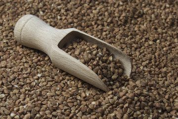 wooden scoop with buckwheat