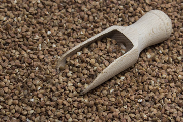 wooden scoop with buckwheat