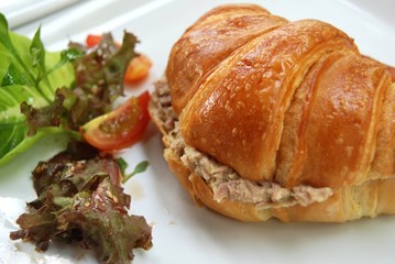 tuna croissant sandwich