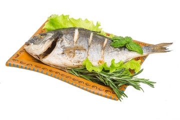 Grilled dorada
