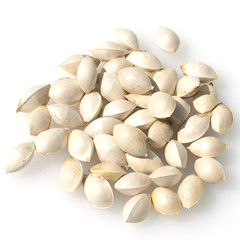 Ginkgo-Samen, Reife,