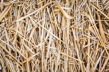 Straw background