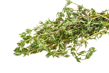 Thyme