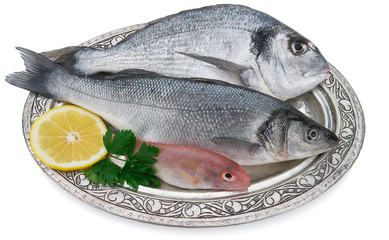 Fish on Silver Plate