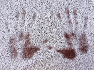 Two handprints of real hands marked into in the hoarfrost