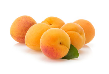 apricot on white background