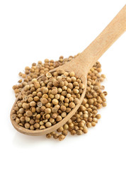 coriander spices in spoon