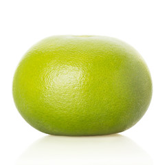 green grapefruit on white background