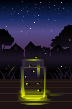 Fireflies in the jar