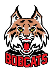 bobcat head mascot