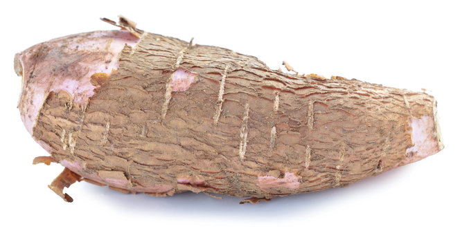 whole manioc (cassava) isolated on white background