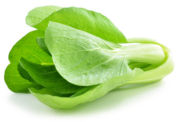 Bok choy (chinese cabbage) isolated on white