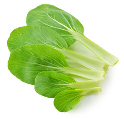 Bok choy (chinese cabbage) isolated on white