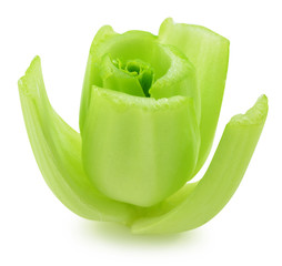Bok choy (chinese cabbage)