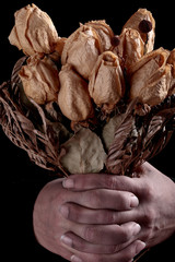 hands dirty and dried roses