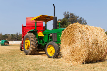 Straw On Green Grass