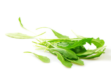Fototapeta premium Rucola, isolated