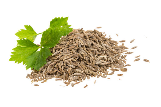Zira seed