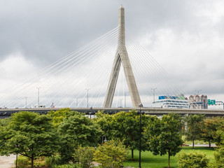 Boston Suspension Bridge Beyond Trees