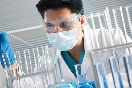 Medical scientist working in laboratory