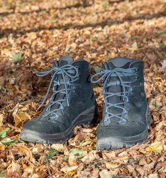 Hiking boots in autumn foliage