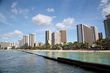 Naklejka premium Hawaii - Oahu - Waikiki