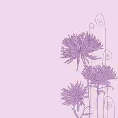 Background with lilac asters
