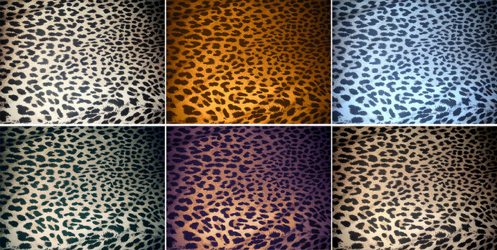 Texture Leopardata
