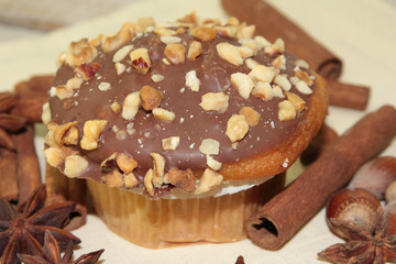 muffin