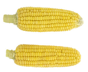 Corn