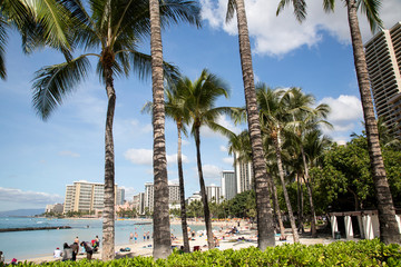 Hawaii - Oahu - Waikiki